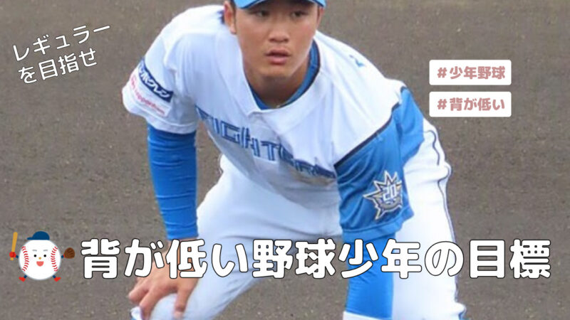 【小柄な野球選手の理想選手像】北海道日本ハムファイターズの奈良間大己選手を元甲子園球児が徹底解説 