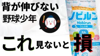 【節約術】ノビルンのお得な買い方とは！？割引やキャンペーン情報を徹底解説 